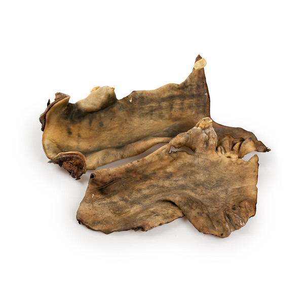 Skóra końska płaska